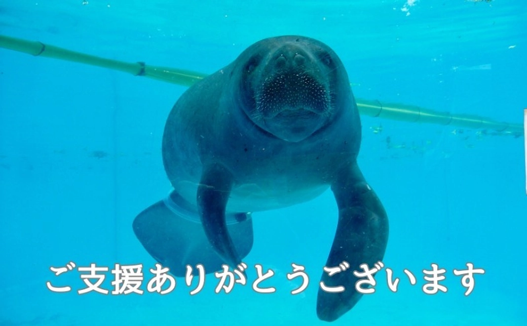 リターンご不要な方へ/応援コース(3,000円)