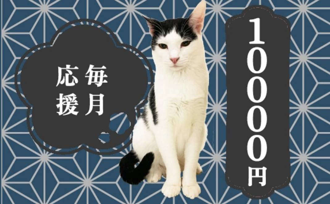 毎月応援10000円コース