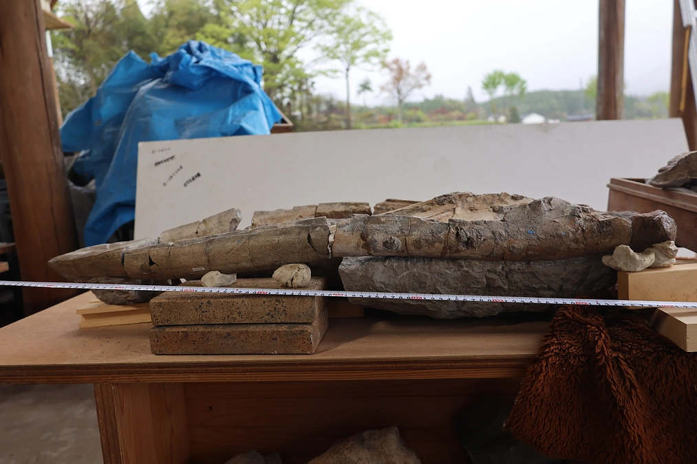 初日を迎えました