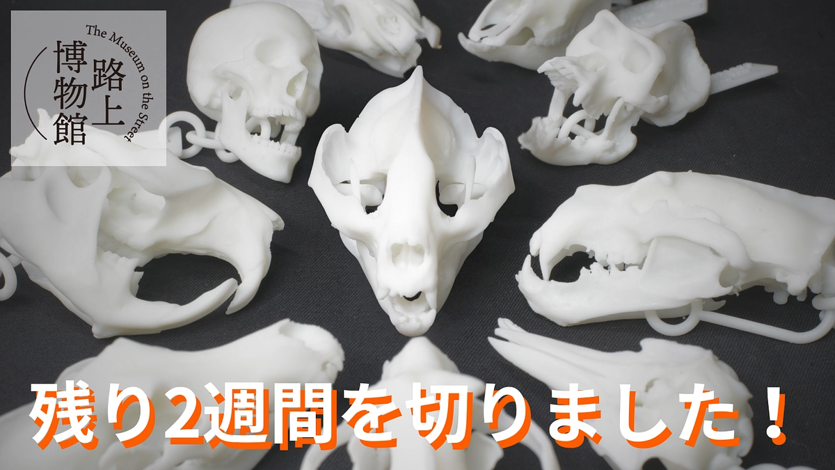 【終了まで2週間を切りました】ご支援いただいたみなさまへ