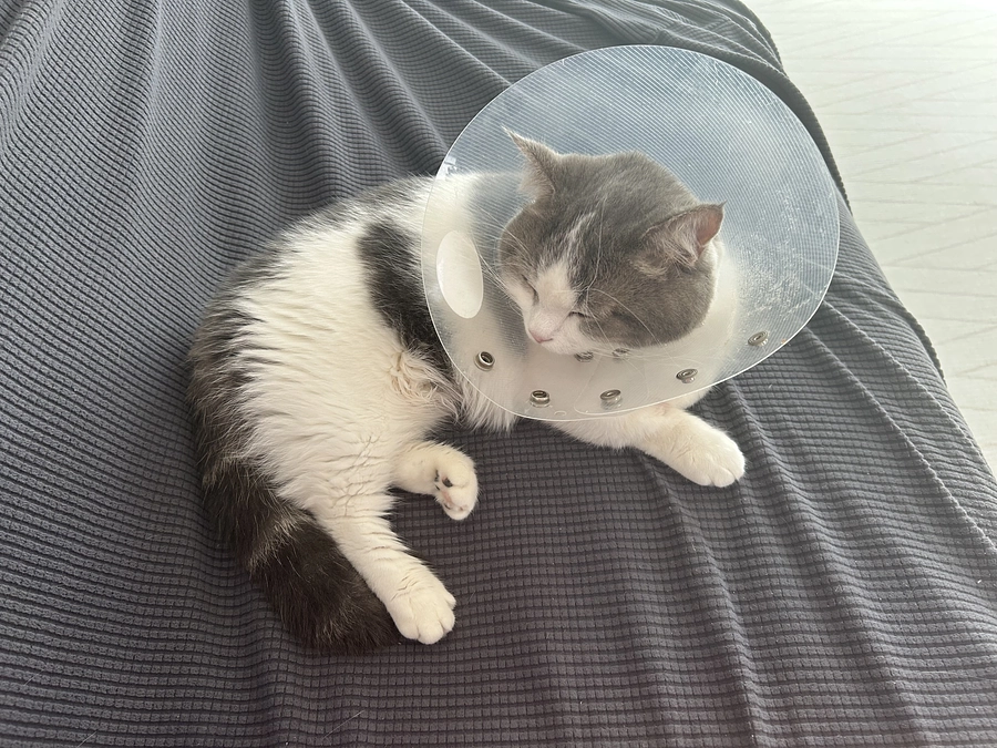 片時も離れない