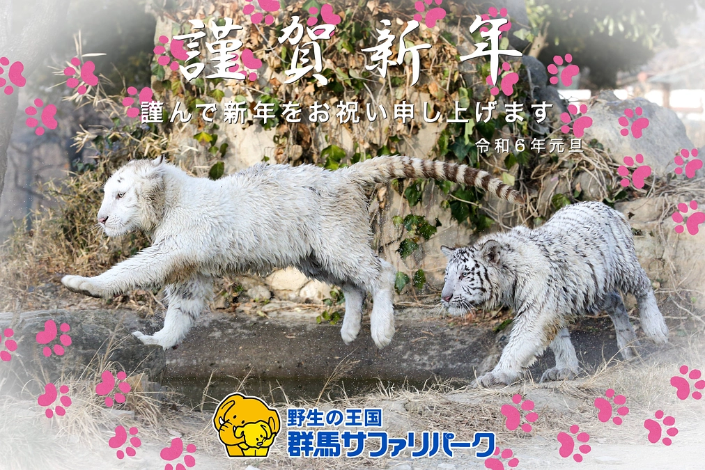 1月1日(月祝) 進捗報告～新年のご挨拶～