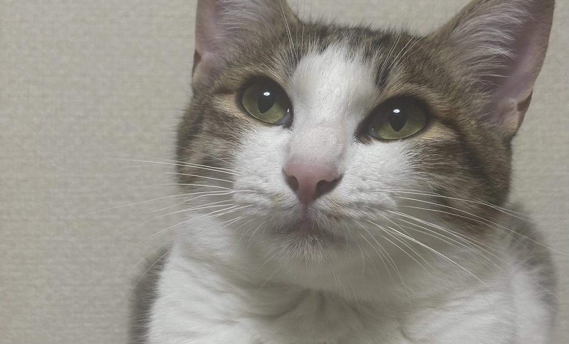 投薬74日目のご報告