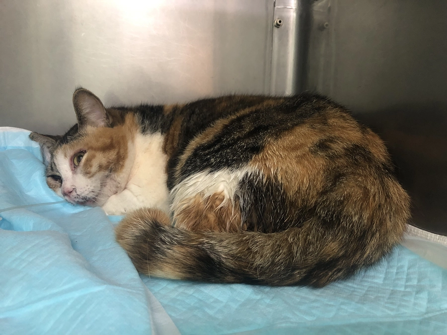 経過報告◆2日目