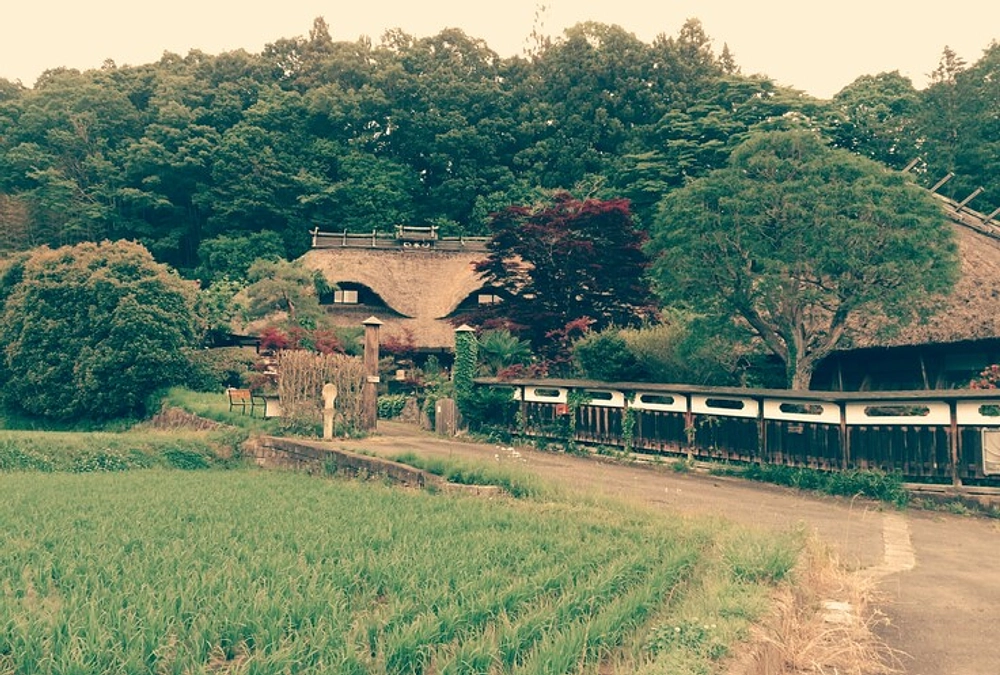 茨城新聞様にご紹介いただきました