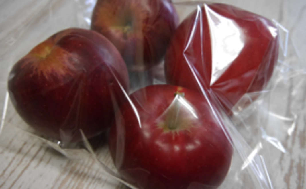 お礼のお手紙＆大会サポーター認定証 南部町産りんご袋入り