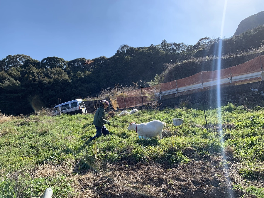 目指すのはユニバーサル獣医療！