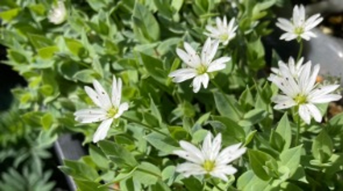 ありがとうございます❣️1日目