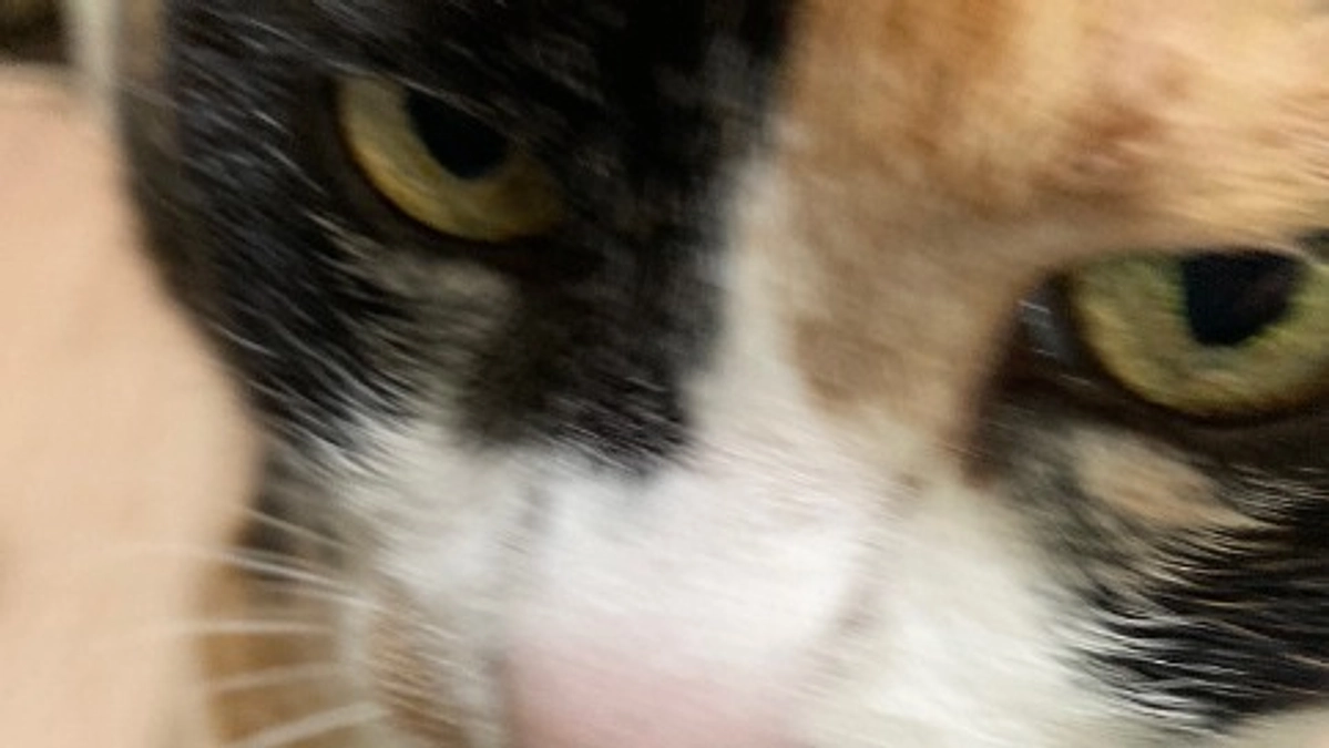 ■活動報告_13：本日の通院報告とご支援のお願い