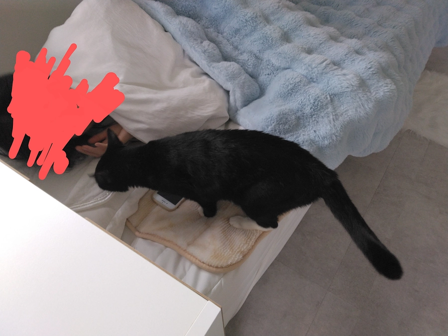 3/16はなちゃんの様子