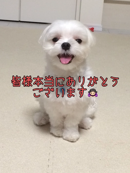 達成報告🙇🏻‍♀️‪‪