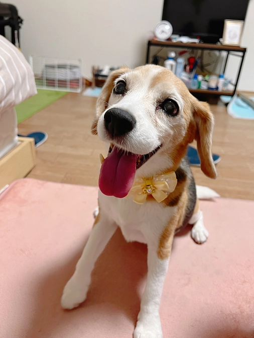 【ちびっこ一周忌】あれから1年が経ちました。