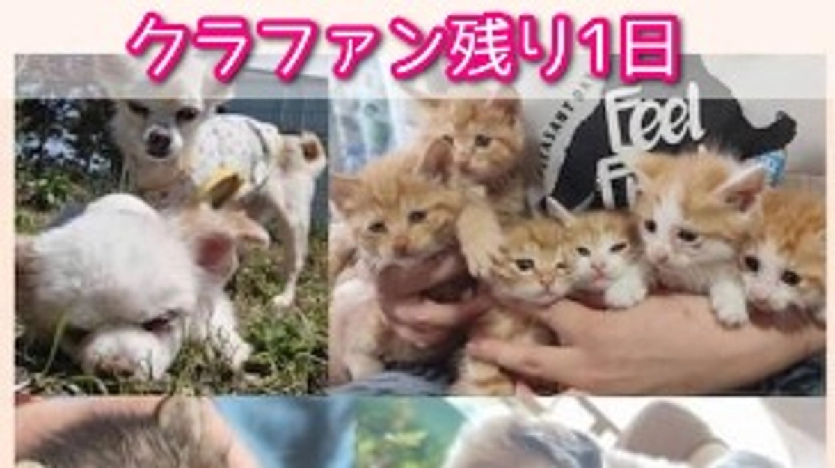 最後の最後まで！