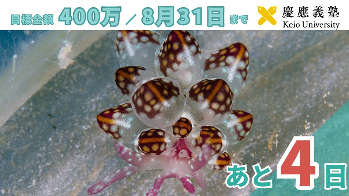 残り4日となりました。情報の拡散をお願いします！