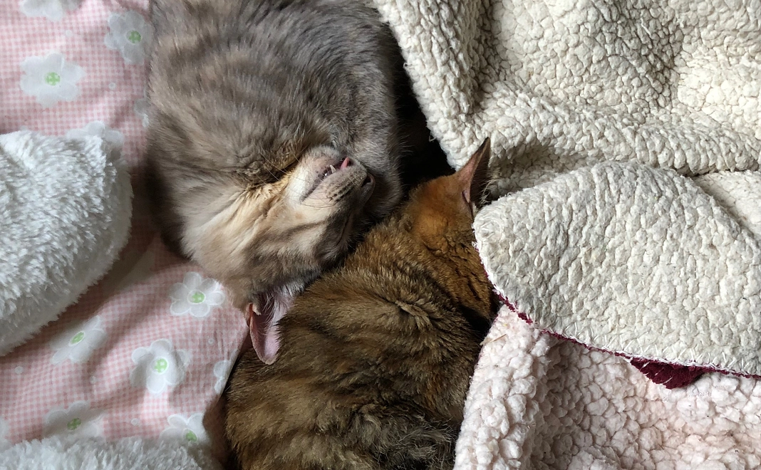 お礼のメール(1)