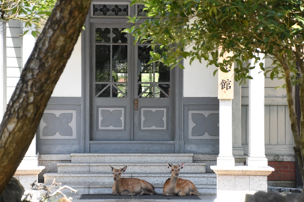 建築史家と巡る、記念館ツアー②