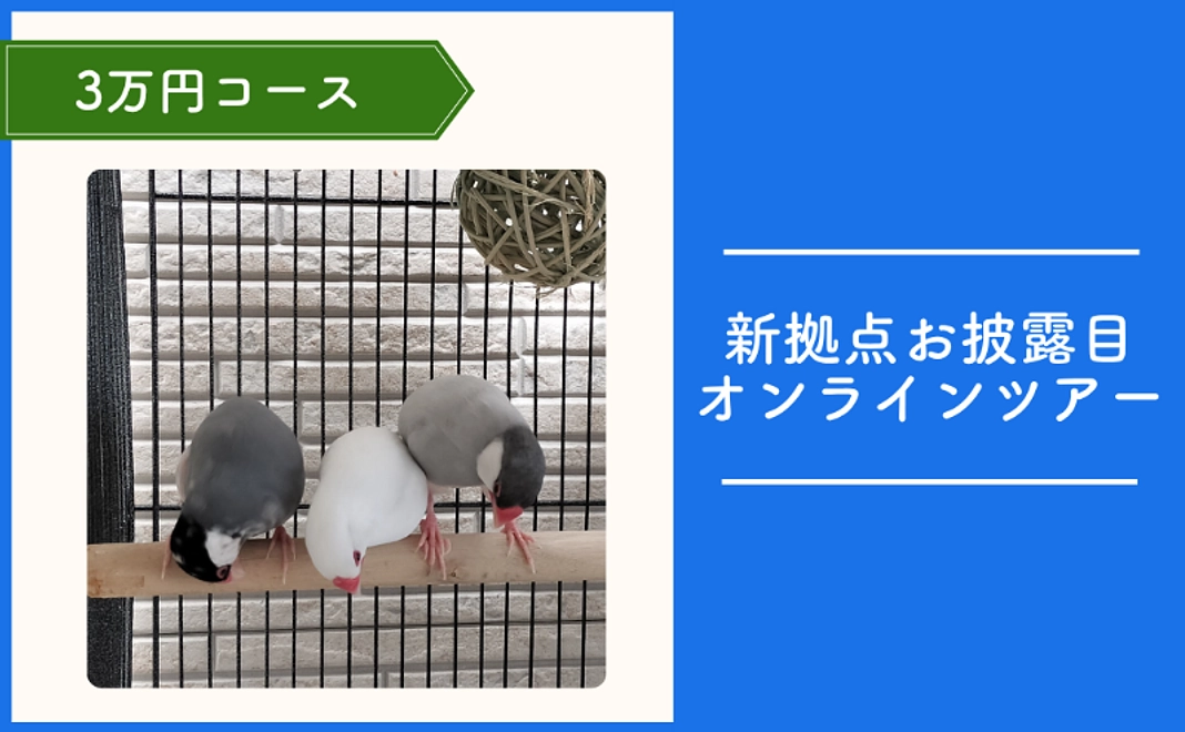 TSUBASA応援コース｜3万円