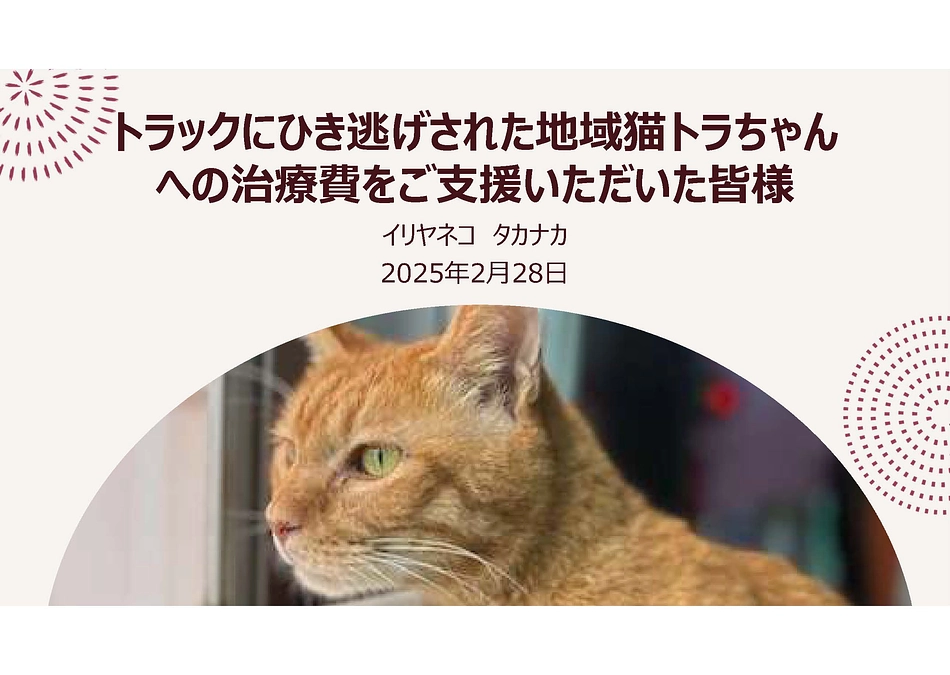 リターン「活動報告書」