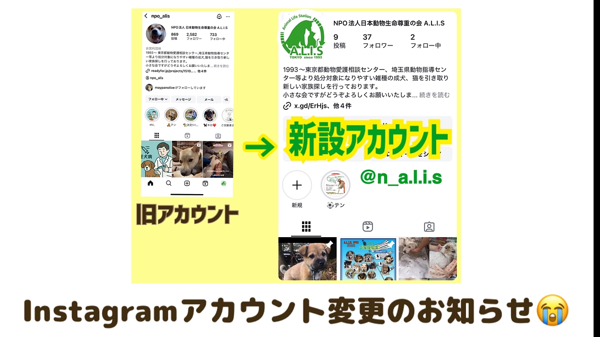 インスタグラム😭アカウント変更のお知らせ