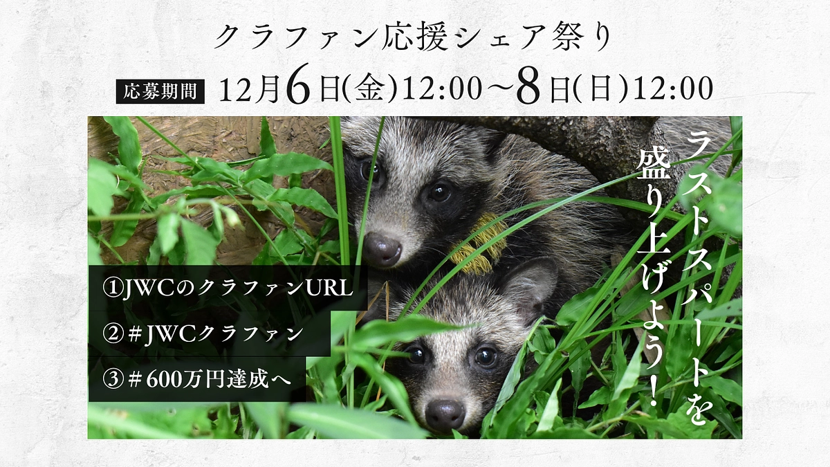 【クラファン残り8日】明日からXシェア祭り開催！！ ラストスパートに勢い付けて！！