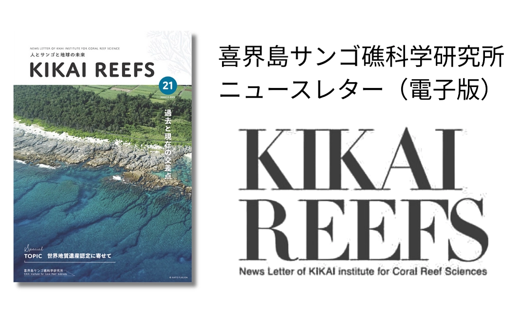 お礼のメール&ニュースレター購読『媒体(電子版)』