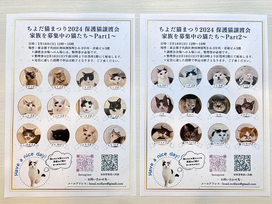 残り１１時間を切りました！能登被災の猫たちの第３便が来週にも到着。さらに健康状態が悪いとの情報