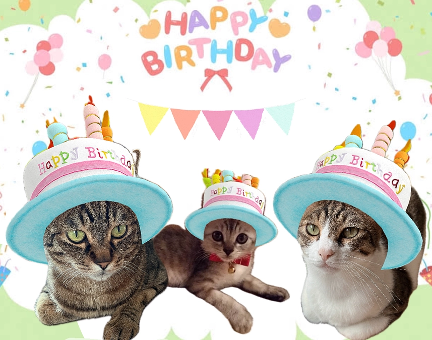 お誕生日おめでとう🎉🎂