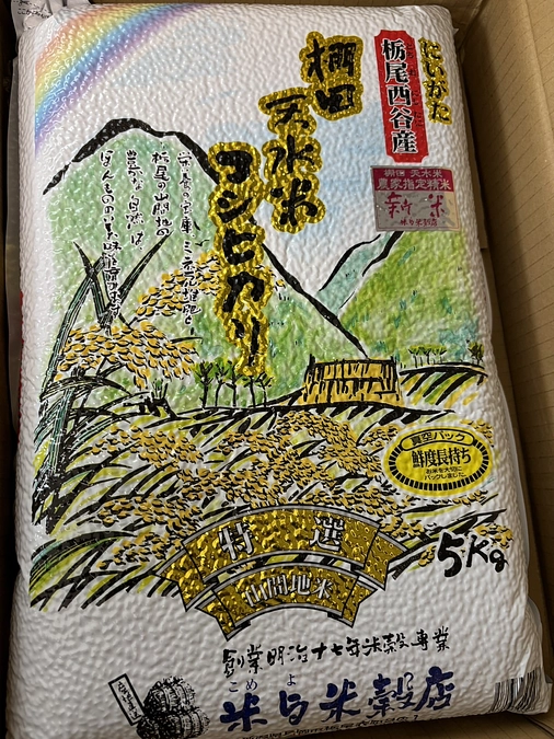 【2024年9月の活動報告】