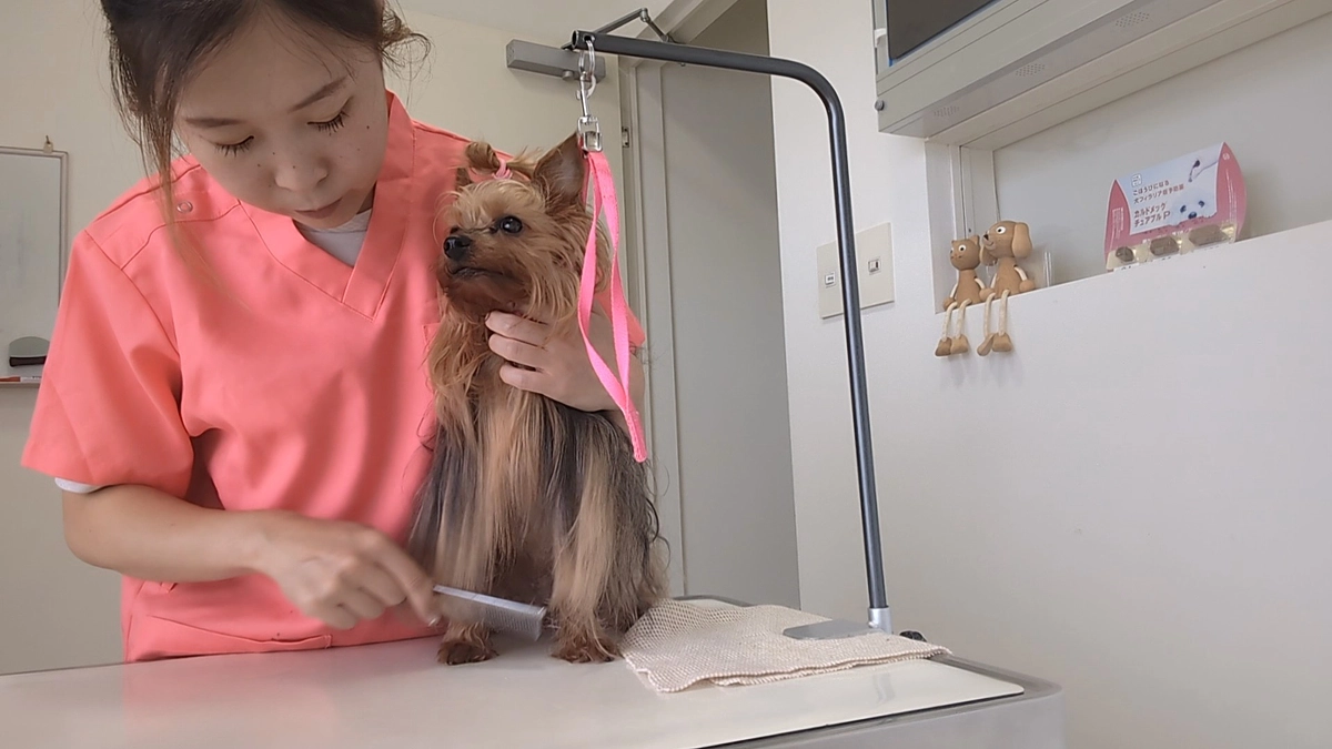 スタートしました！ご支援ありがとうございます