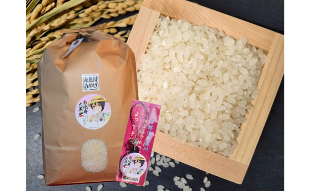 早川のおいしいお米～みのり～コース