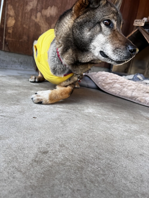 🆘🆘あと34万2千円足りません🆘🆘