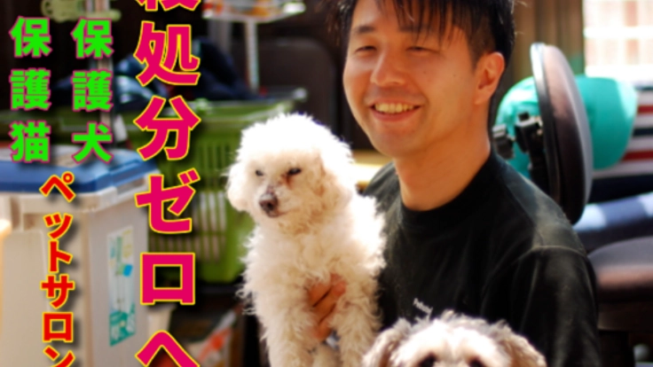 殺処分される犬・猫たちと優しい里親さんを繋ぐペットサロン