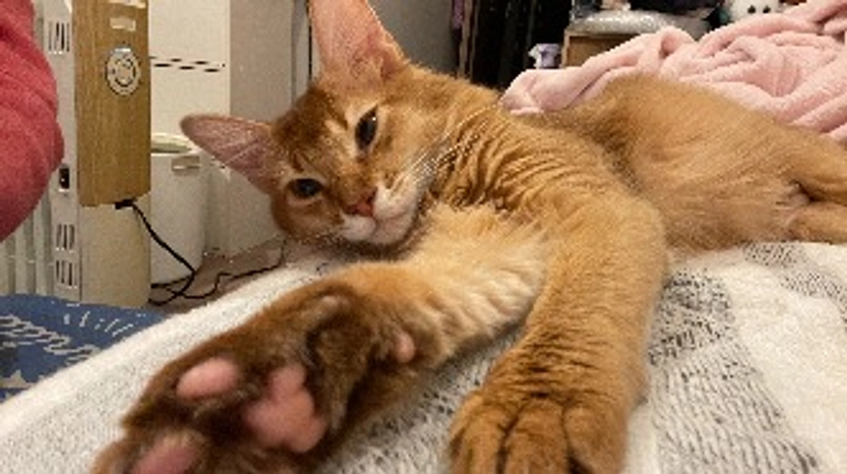 ★2023年11月27日：投薬69日目★