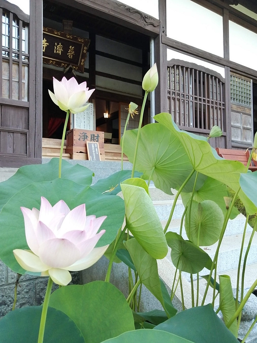 残り10日となりました！引き続きの応援をよろしくお願いします！