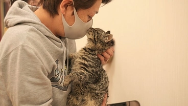 愛すべき野良猫の会｜仙台市で保護した猫たちに十分な医療費を届けたい のトップ画像