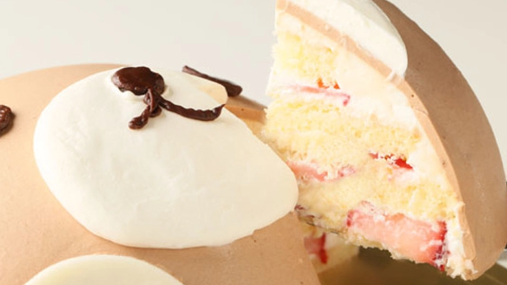 「立体3Dキャラクターオーダーケーキ」を日本全国に広めたい