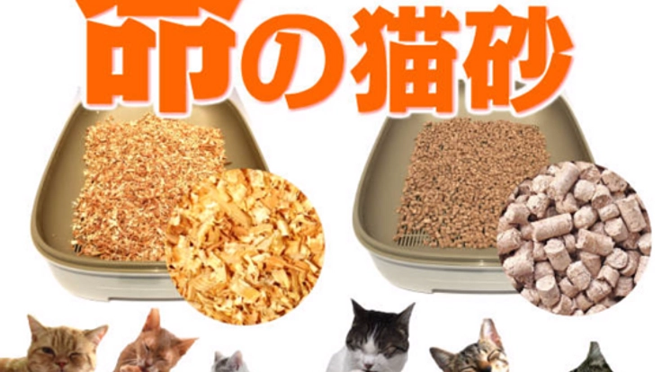 天然杉100％の猫砂を開発し、有害物質から猫の命を守りたい！