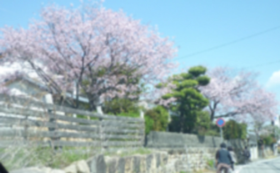 【安岡ゆりこ応援コース】お手紙