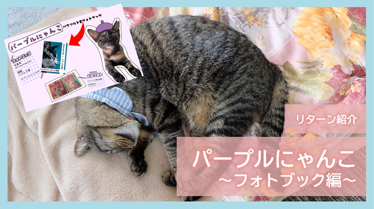 リターン紹介｜パープルにゃんこ～フォトブック編～
