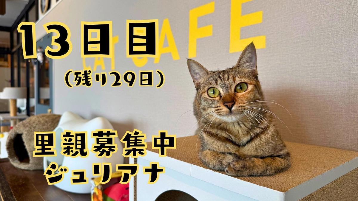 13日目！無いなら無いで頭フル回転！！