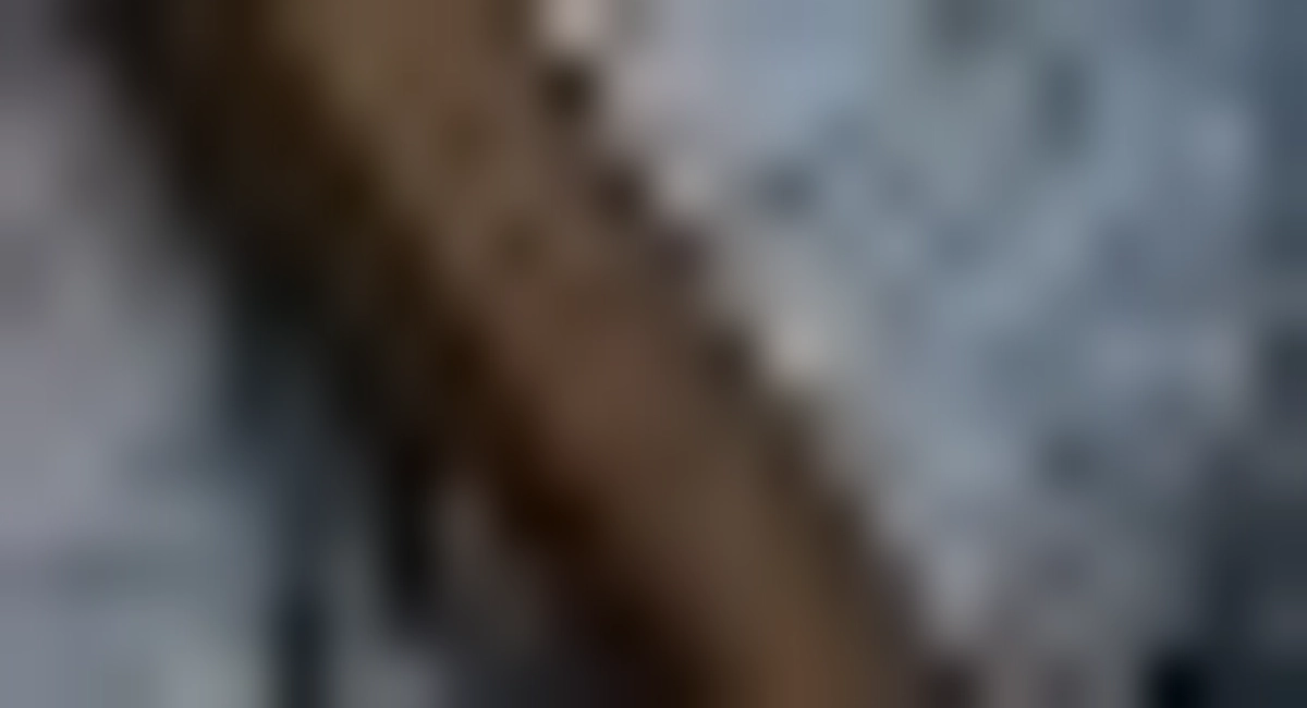 クラファンコースの金毘羅宮鳥居設置されました！ご支援宜しくお願い致します！