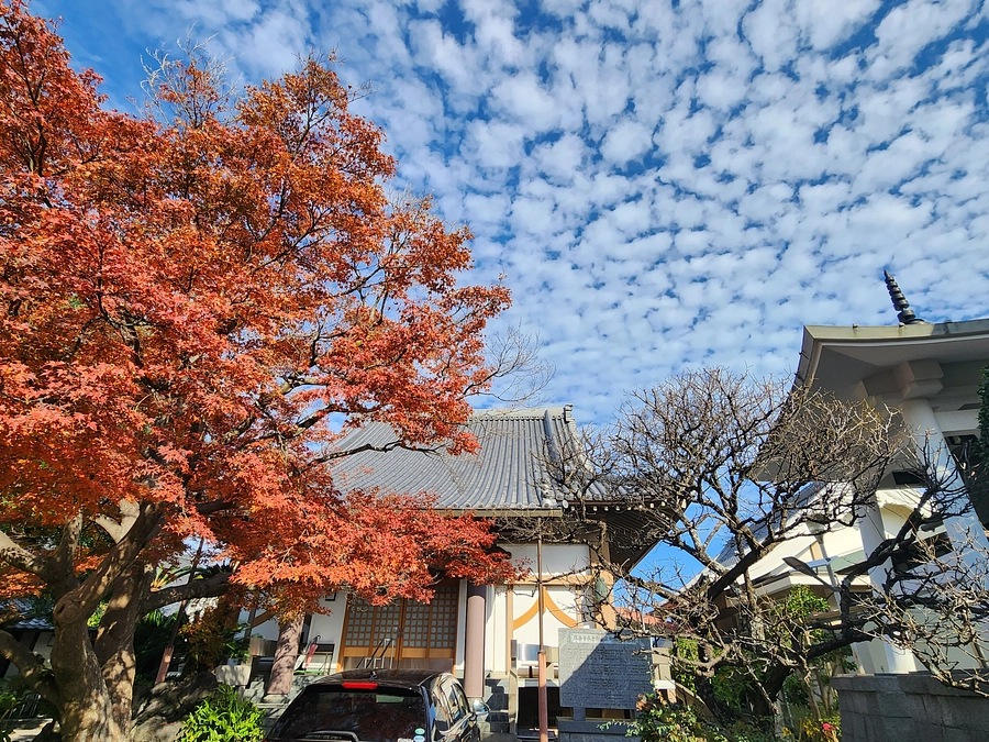 11/23 譲渡会にて(^^♪　