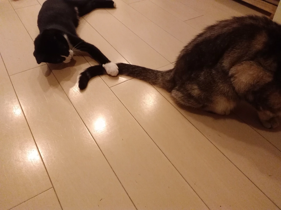 元気に育っています。