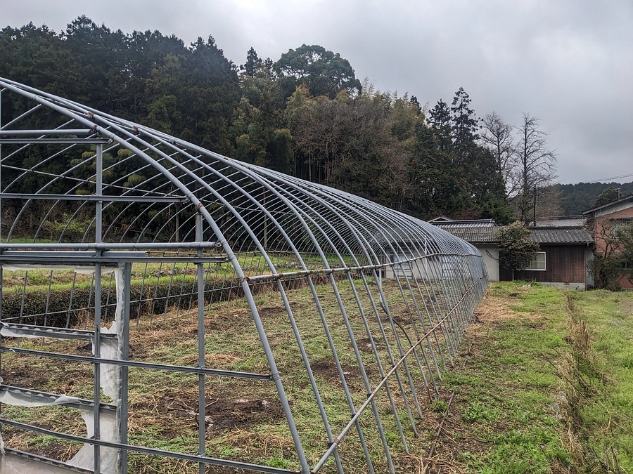 ホップ栽培について