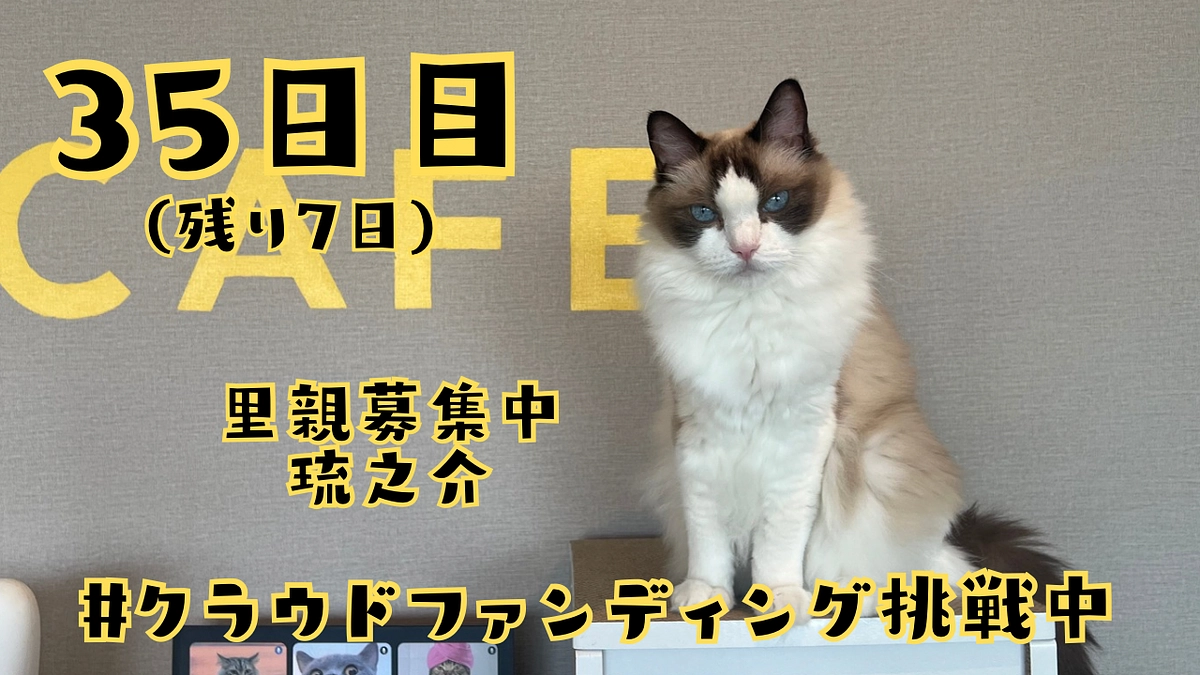 1枚の写真に込めた私の想い。