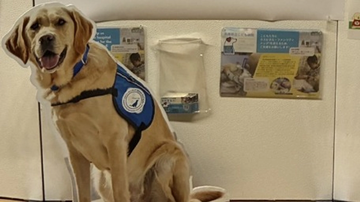 県立病院学会で発表しました