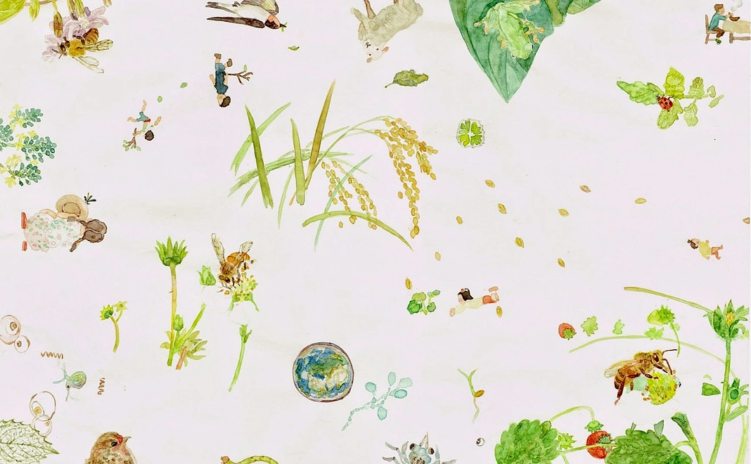 応援支援/3,000円