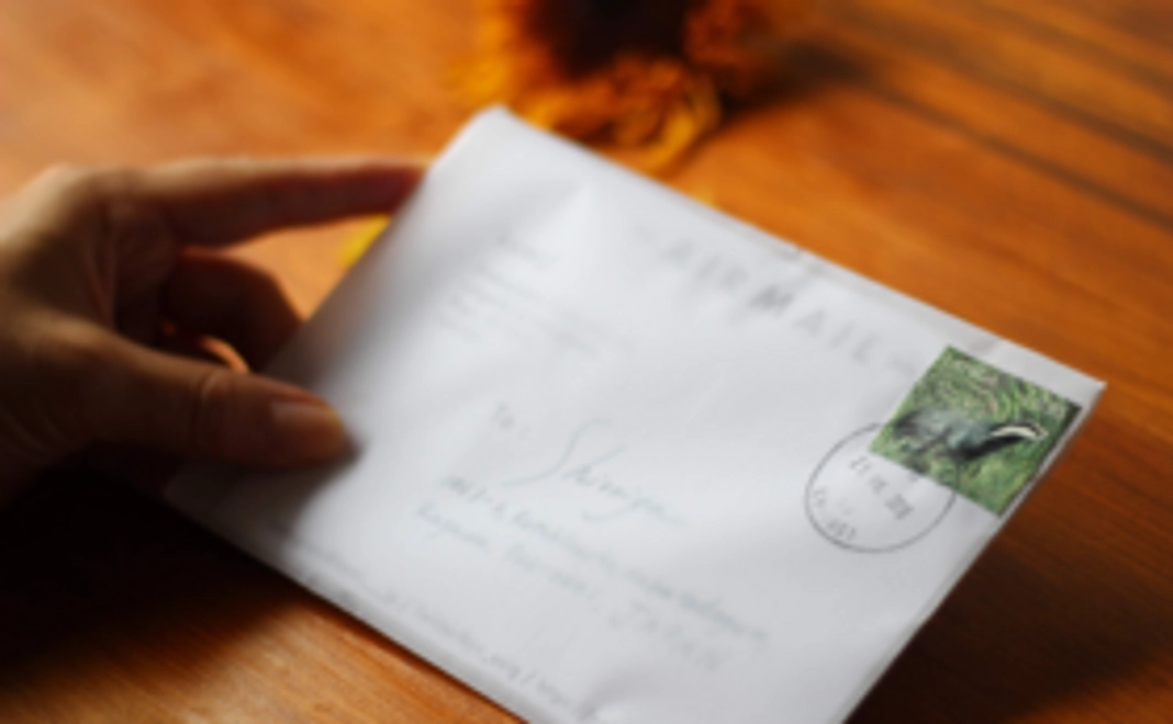 書籍＋サンクスレター