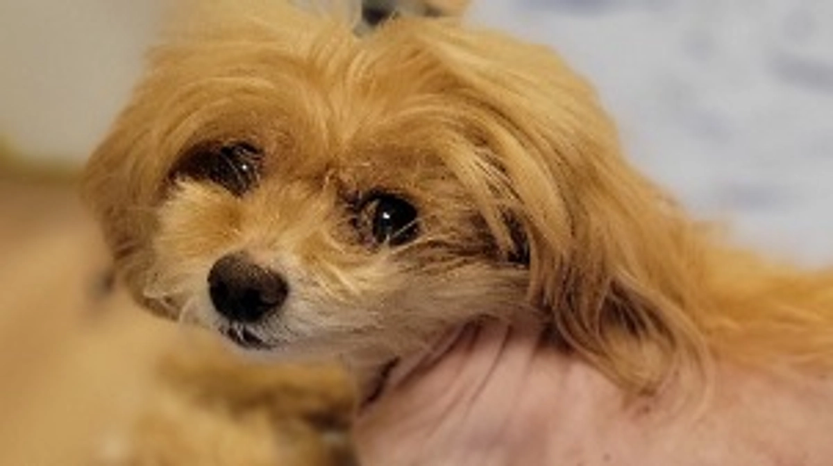 抜歯と退院後の初検査