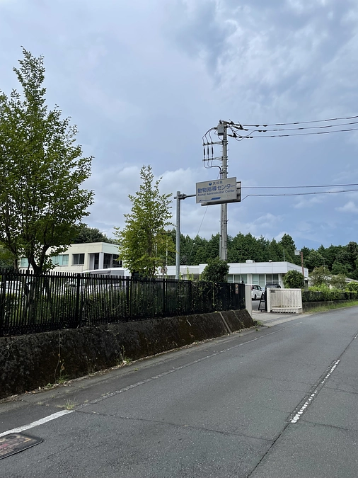 里親希望者様との顔合わせ